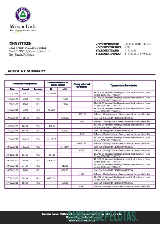 Pakistan Meezan modelo de extrato bancário